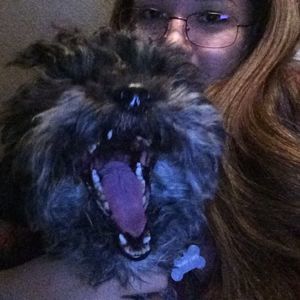 Meet your Posher, Christilyn